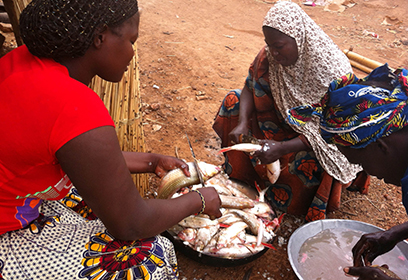 Photographie de trois femmes qui préparent le poisson qu'elles vendront