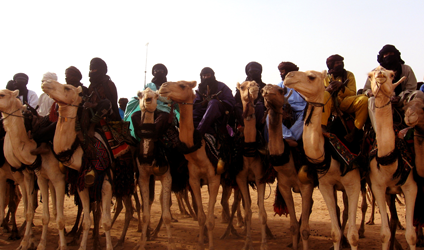 Photographie de Touaregs à dos de chameaux