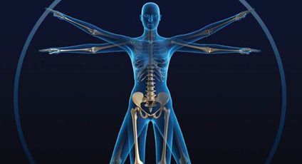 Image d'un corps humain (squelette).