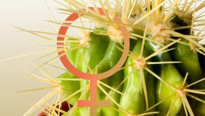 Illustration d'un cactus avec le pictogramme des femmes.