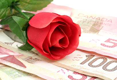 Photographie d'une rose déposée sur des billets d'argent
