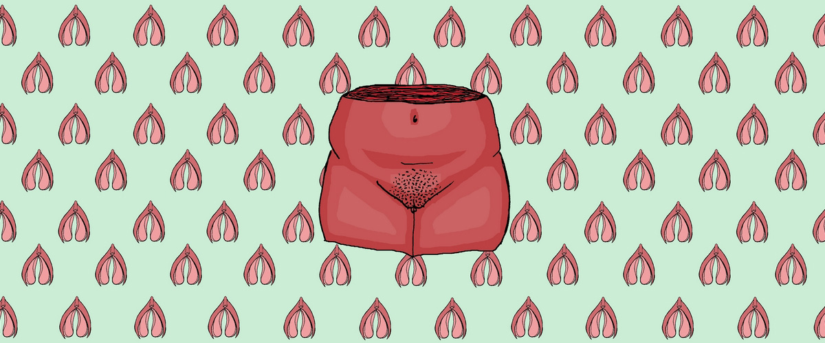 Illustration d'organes génitaux féminins.