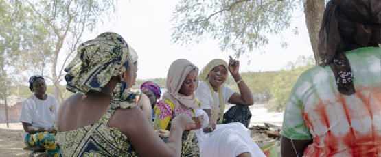 Au Sénégal, les femmes en première ligne pour sauvegarder la mangrove